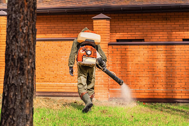 Trusted Mosquito Control service in Dolan Springs, AZ - Nex Pest Control